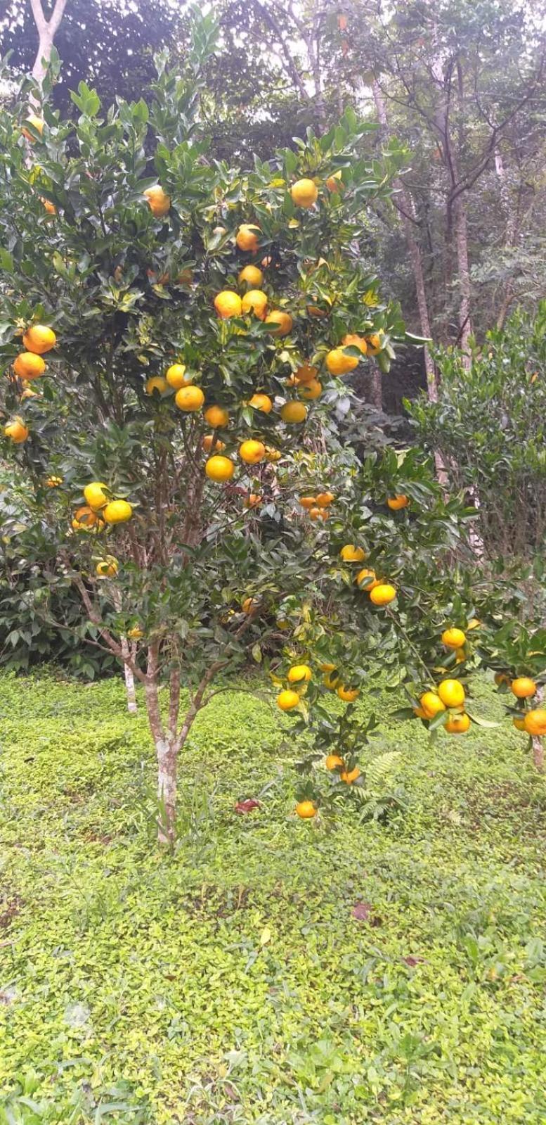 Fazenda Piloes Βίλα Petrópolis Εξωτερικό φωτογραφία