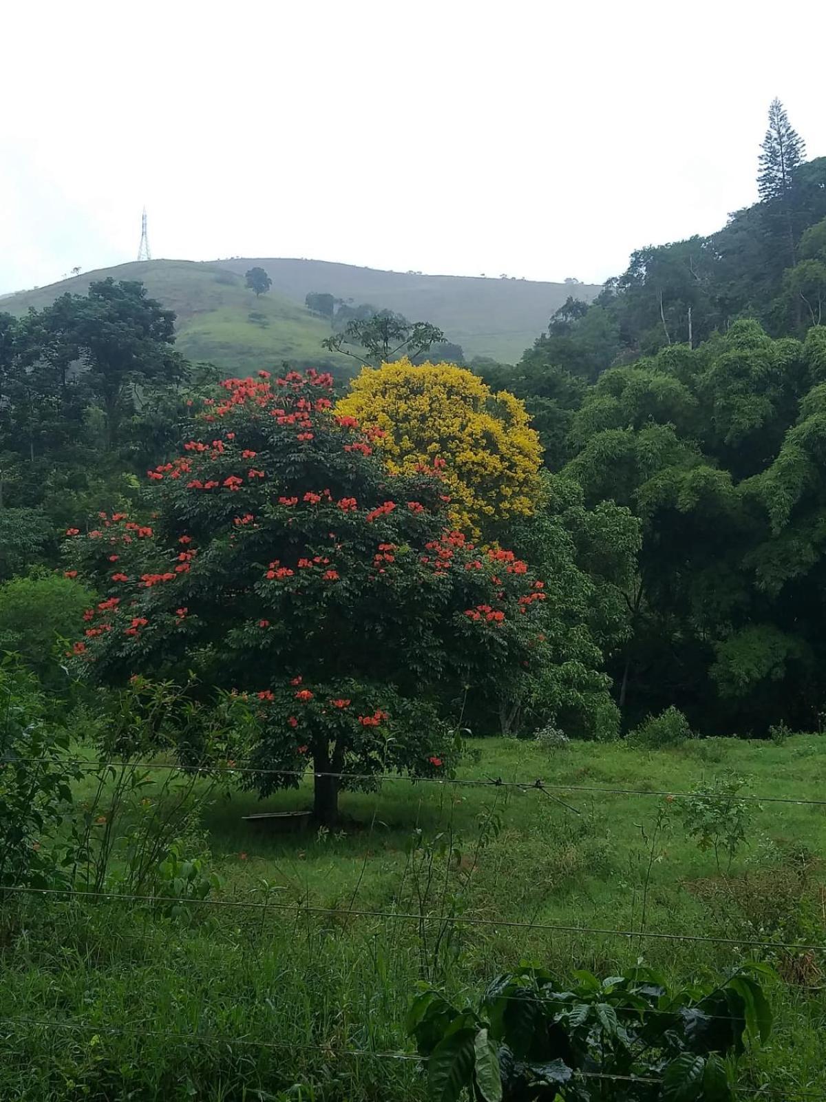 Fazenda Piloes Βίλα Petrópolis Εξωτερικό φωτογραφία