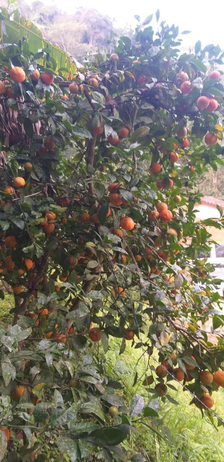 Fazenda Piloes Βίλα Petrópolis Εξωτερικό φωτογραφία