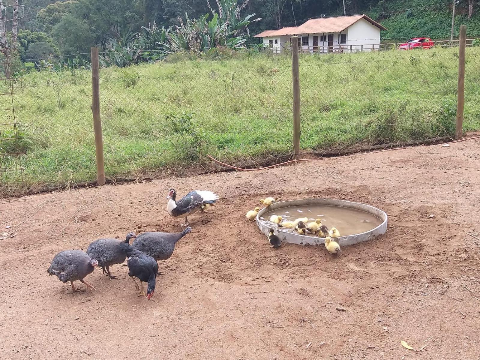 Fazenda Piloes Βίλα Petrópolis Εξωτερικό φωτογραφία